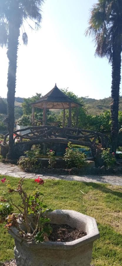 فييرا دو مينهو Casas Do Sameiro المظهر الخارجي الصورة